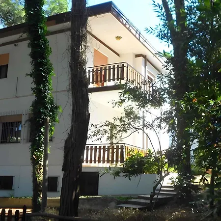 In 24846 Rosolina Mare
